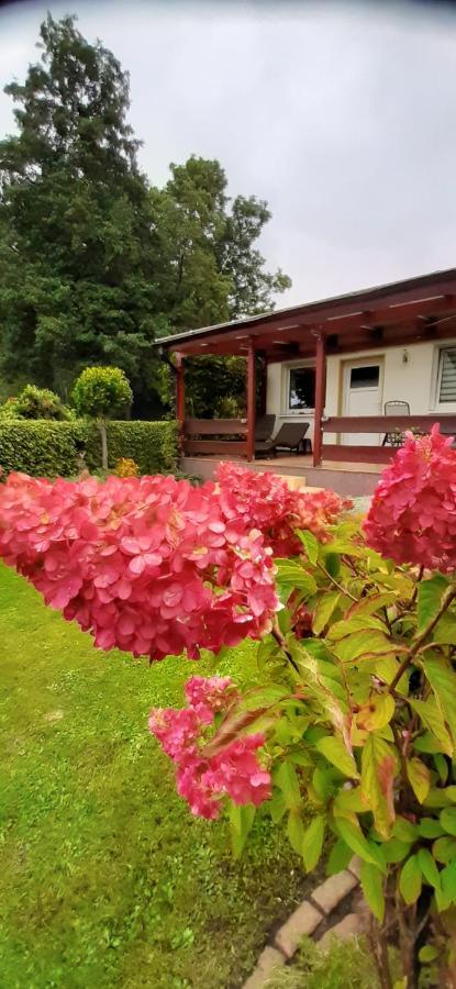 Bungalow Idylle Am See Neuruppin Dış mekan fotoğraf