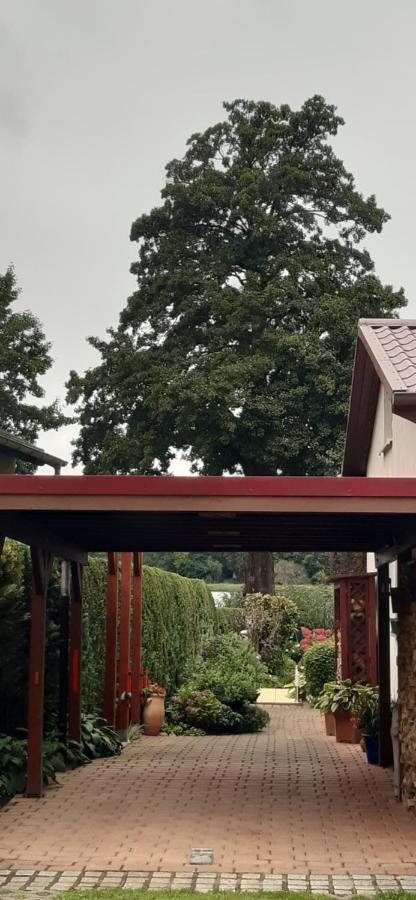 Bungalow Idylle Am See Neuruppin Dış mekan fotoğraf