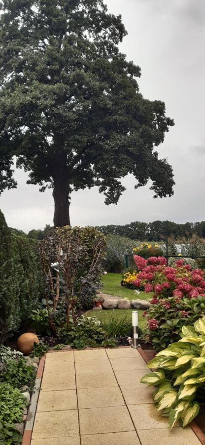 Bungalow Idylle Am See Neuruppin Dış mekan fotoğraf