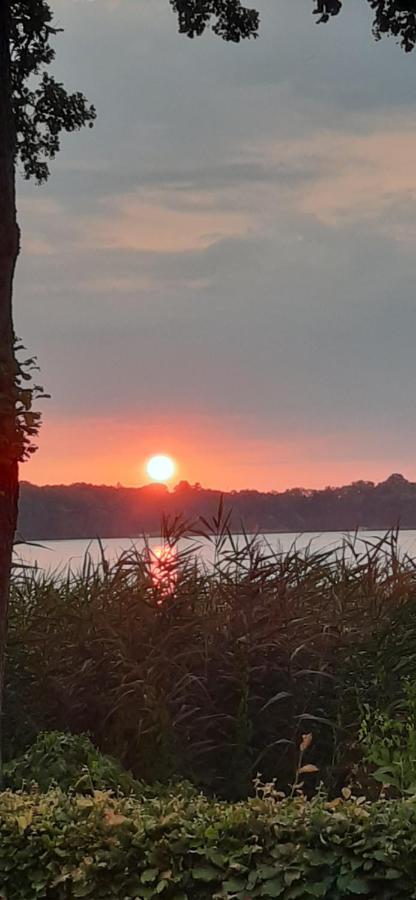 Bungalow Idylle Am See Neuruppin Dış mekan fotoğraf